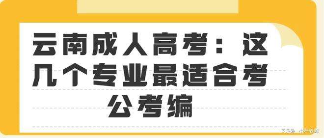 包含函授本科可以考公务员吗的词条