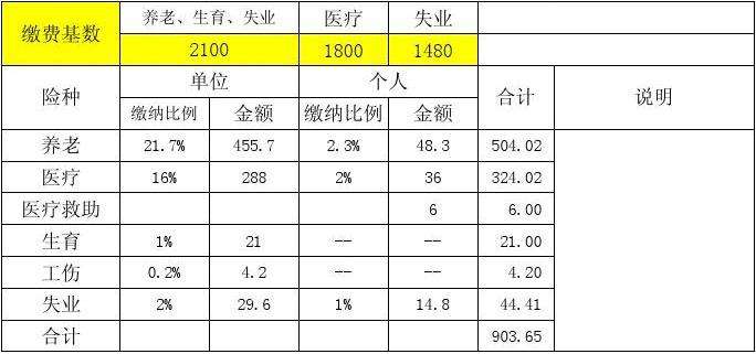 事业单位何时纳入社保(事业编什么时候交社保的)