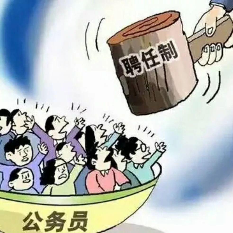 事业单位性质纳入(事业单位人员身份性质)