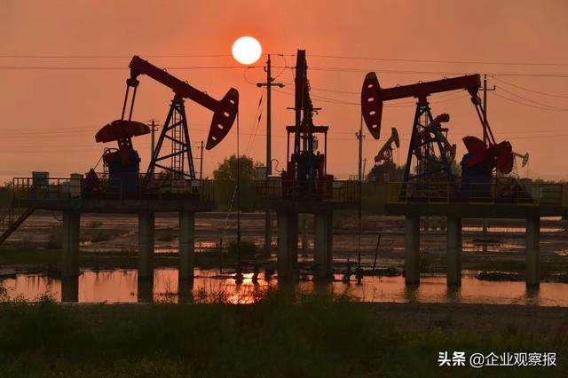 事业单位领导人员一般应当实行任期制(论述公务员领导职务的任期制度包括哪些内容)