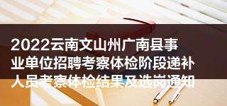 事业单位考察特长(事业单位入职考察表)